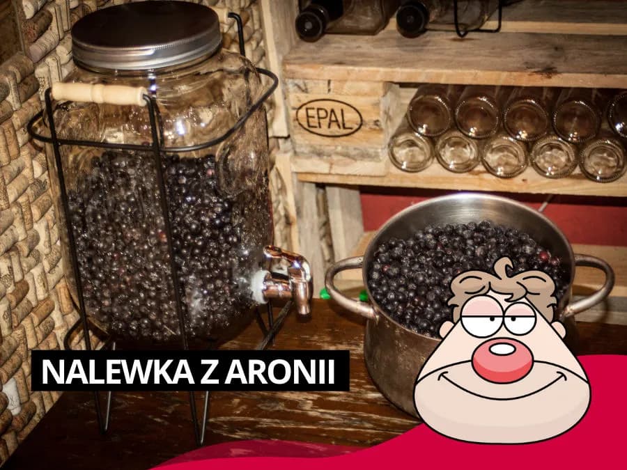 Gdzie kupić nalewkę z aronii - najlepsze miejsca i oferty